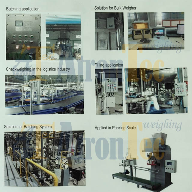 Controlador de pesaje de procesos industriales multifuncional D520